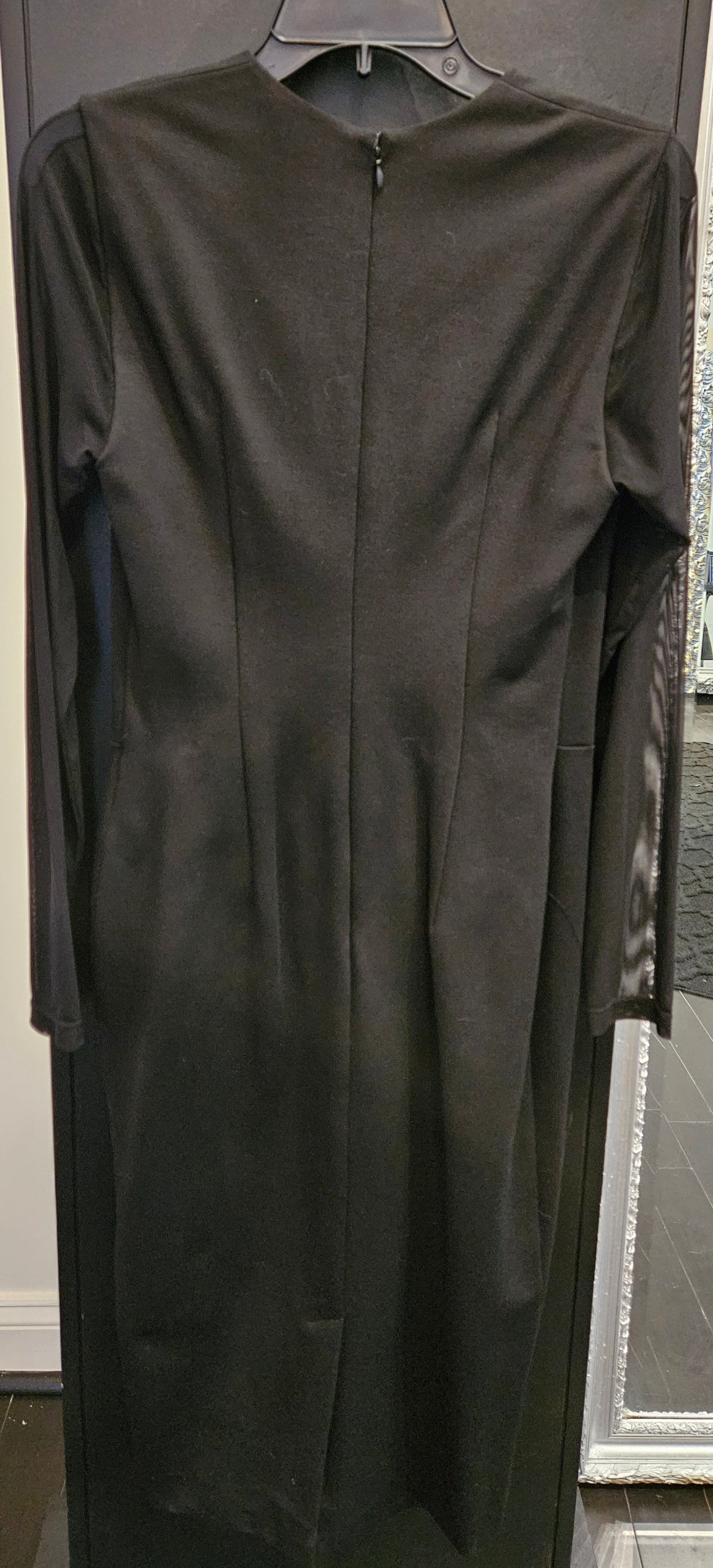 Mesh V Neck Dress with Mesh Sleeves