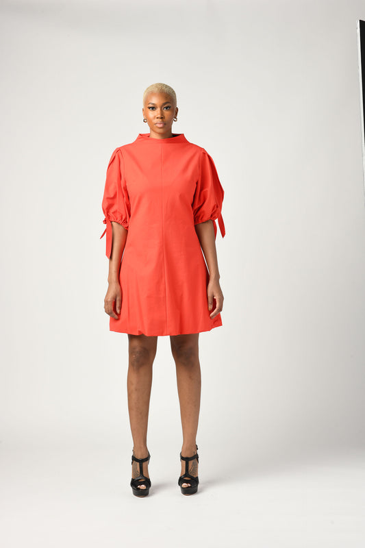High Neck Dress with Puffed Sleeves